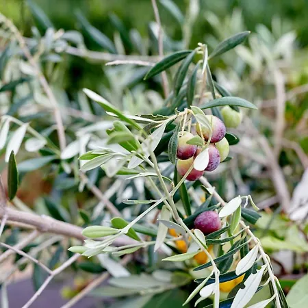 Loft - Powered By Lieu - Вильдень