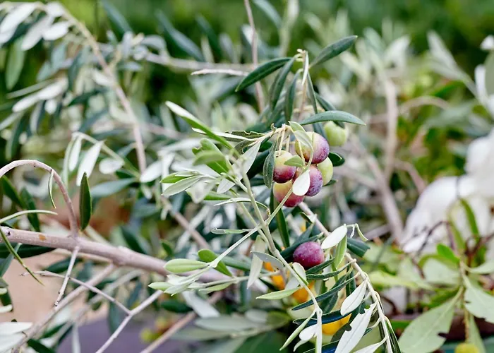 Loft - Powered By Lieu - Villedaigne